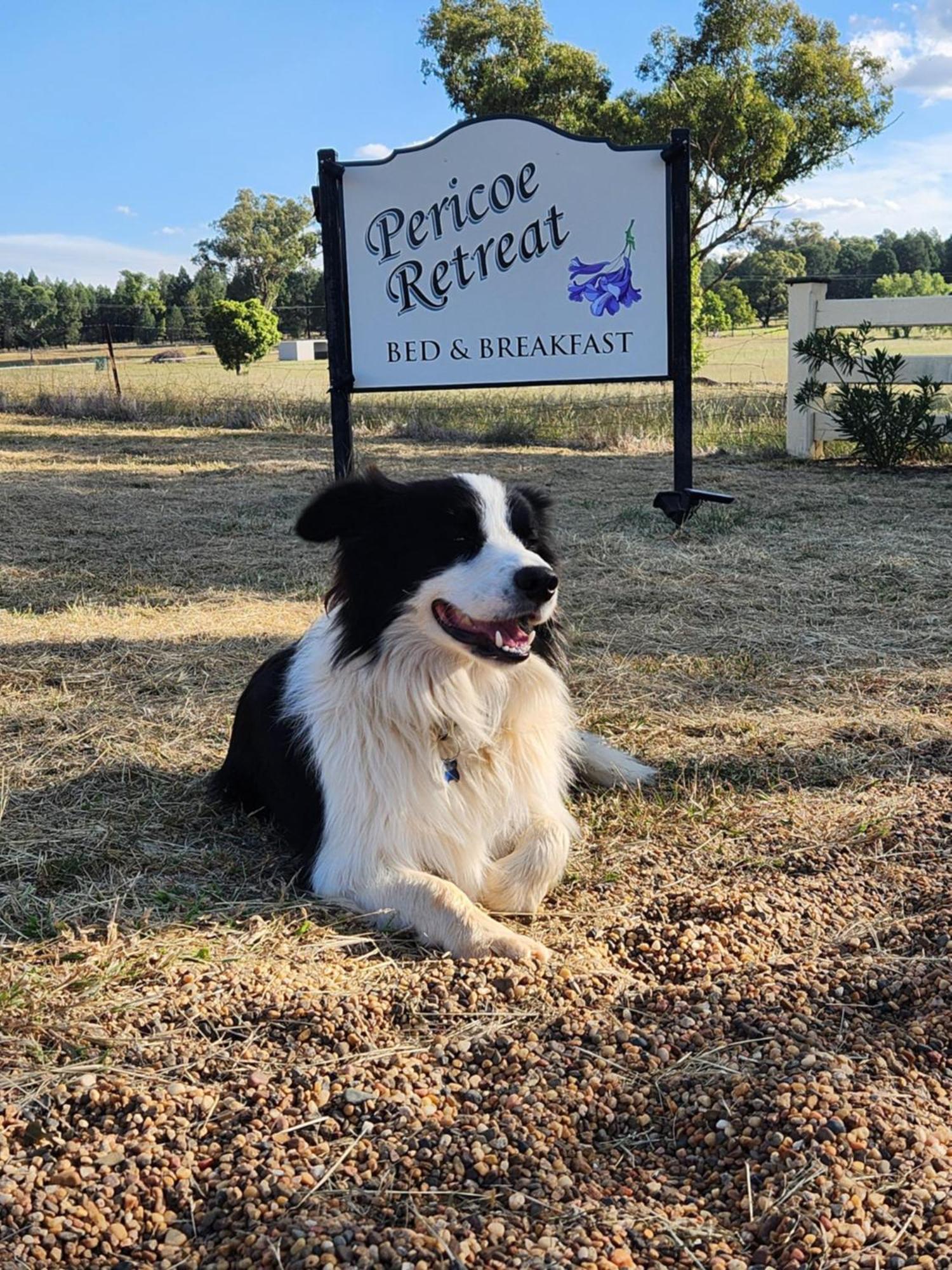 Pericoe Retreat Bed & Breakfast Dubbo Dış mekan fotoğraf